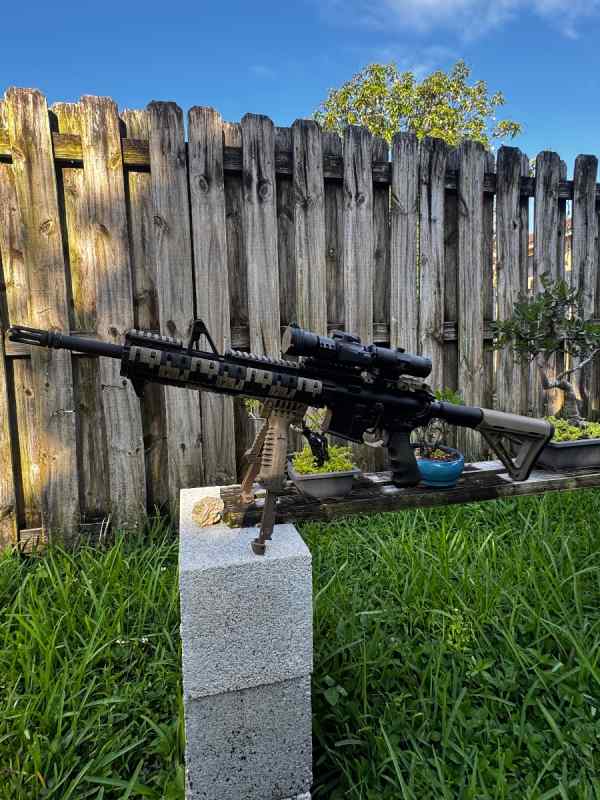 Bushmaster ar15